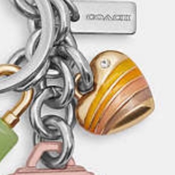 NWT Coach Key Cluster Bag Charm Keychain - Picture 4 of 8